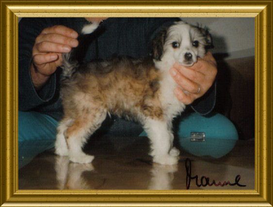 Fabian vom Höllgrund