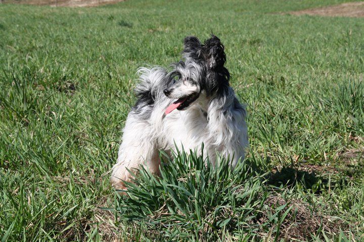 Sørperlas EL Benito