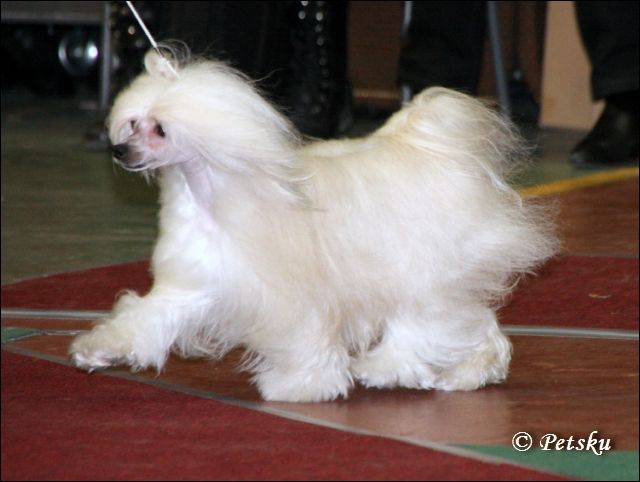 Chattanooga's Club Princess