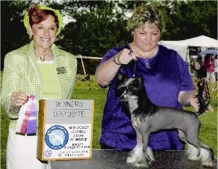 Talisman's Tarisai Design by XO