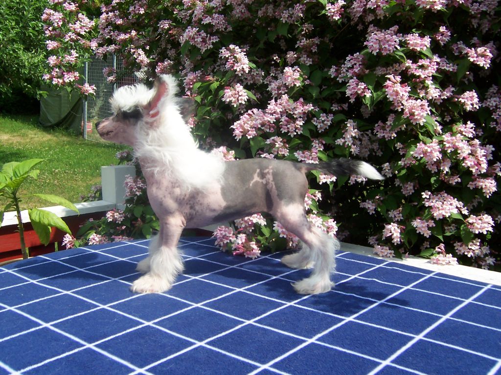 Sea Fire's Jambalaya