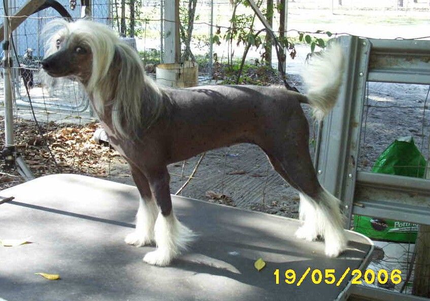 SmkMtn's Goddess Of The Sun