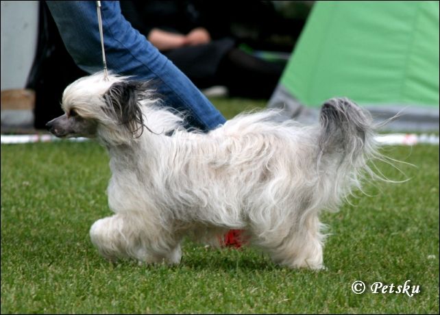 Mooncrest Caramia Love