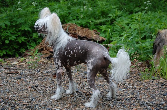 Tulimyrskyn Eka Kerta