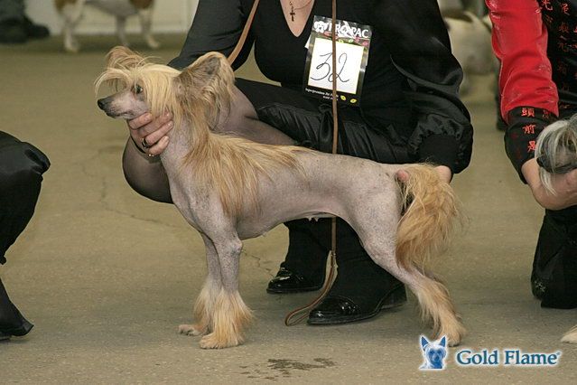 Zholesk Fancy Knick-Knack