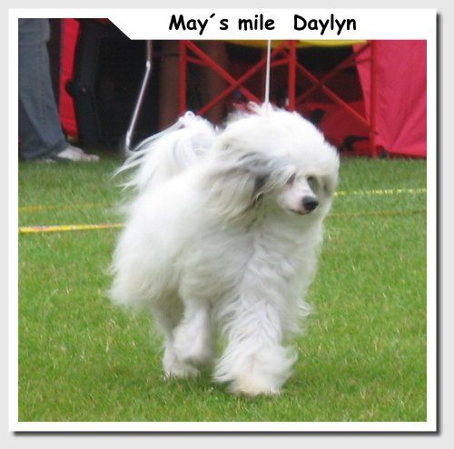 May's mile  Daylyn