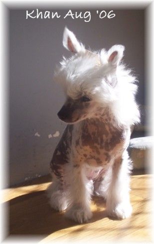 Splfyr Spirit In The Sky