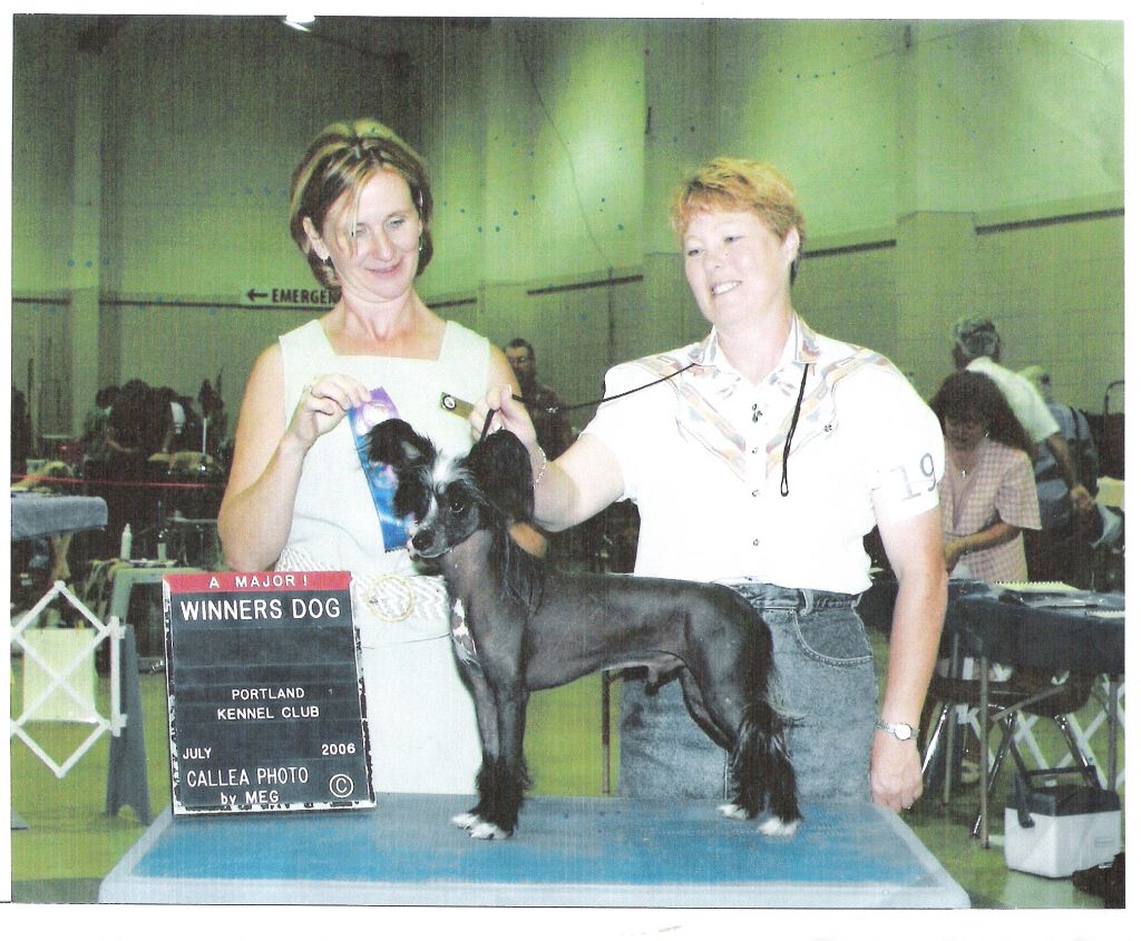 Se-Aires Am Idol Simon Cowell