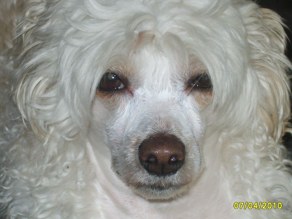 Sunstreaker Alter Ego