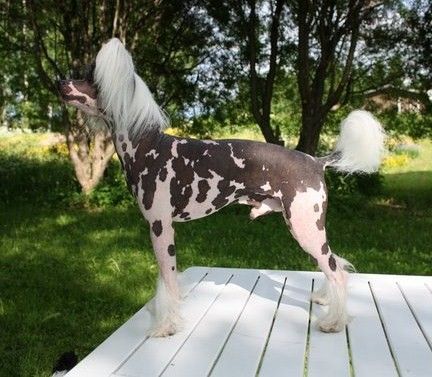 Chattanooga's That's It