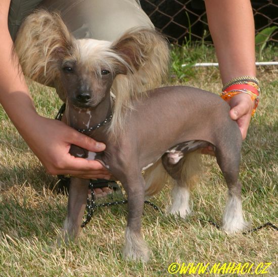 Eggo z Kamilkové zahrady