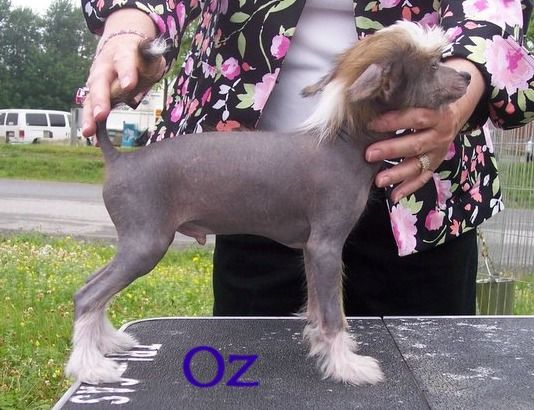 Edencrest New Moon Rising