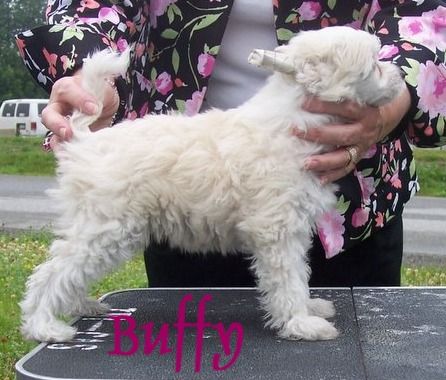 Edencrest Once More With Feeling