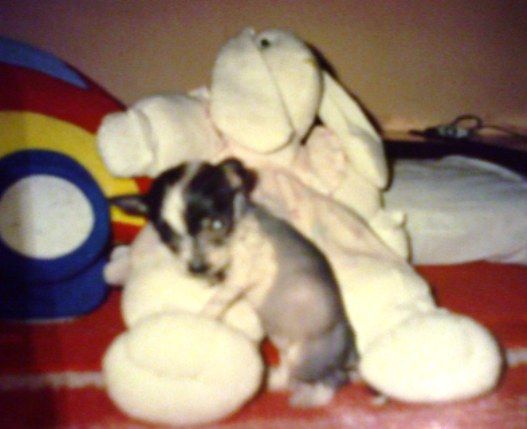 Lisbury's Naomi Katsumi