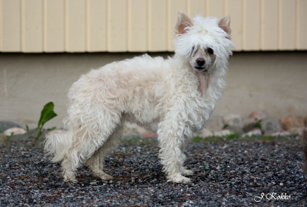 Magic'N Mystic End Of An Era