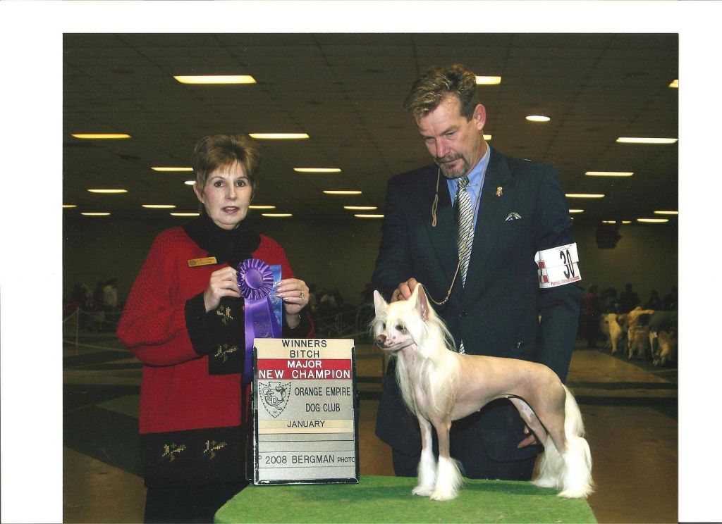 Bayshore Stonehaven Dream Of Me DOM