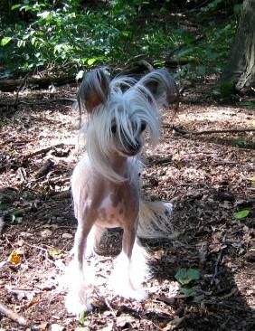 Feeling Little Champs