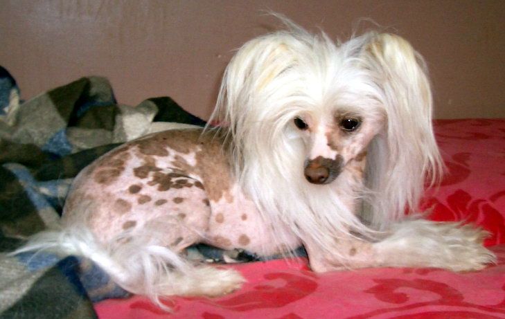 Uriel de la Fontaine aux Maléfices