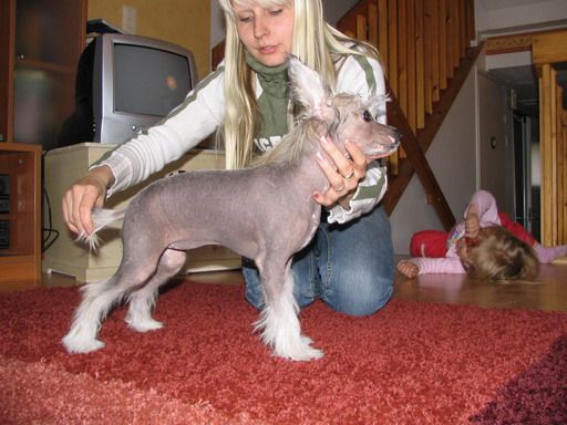 Shadowgame's Always Lost