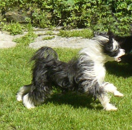 Farrah Top Model De Rama