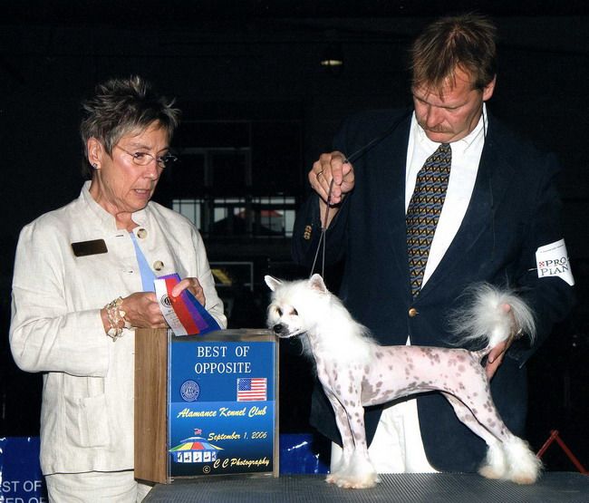 Rochars True Confessions