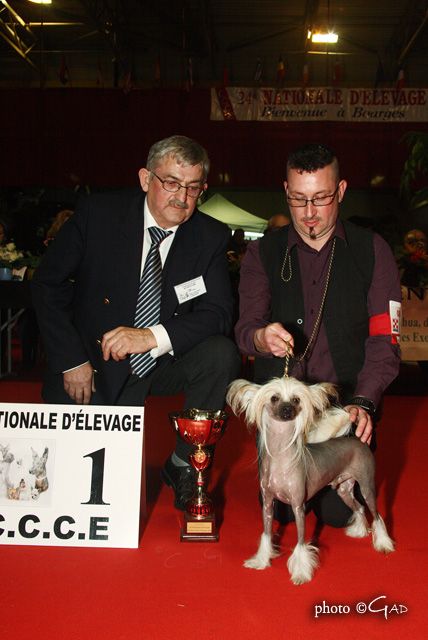 Billy Bad to the Bone du Domaine du Président..ELI