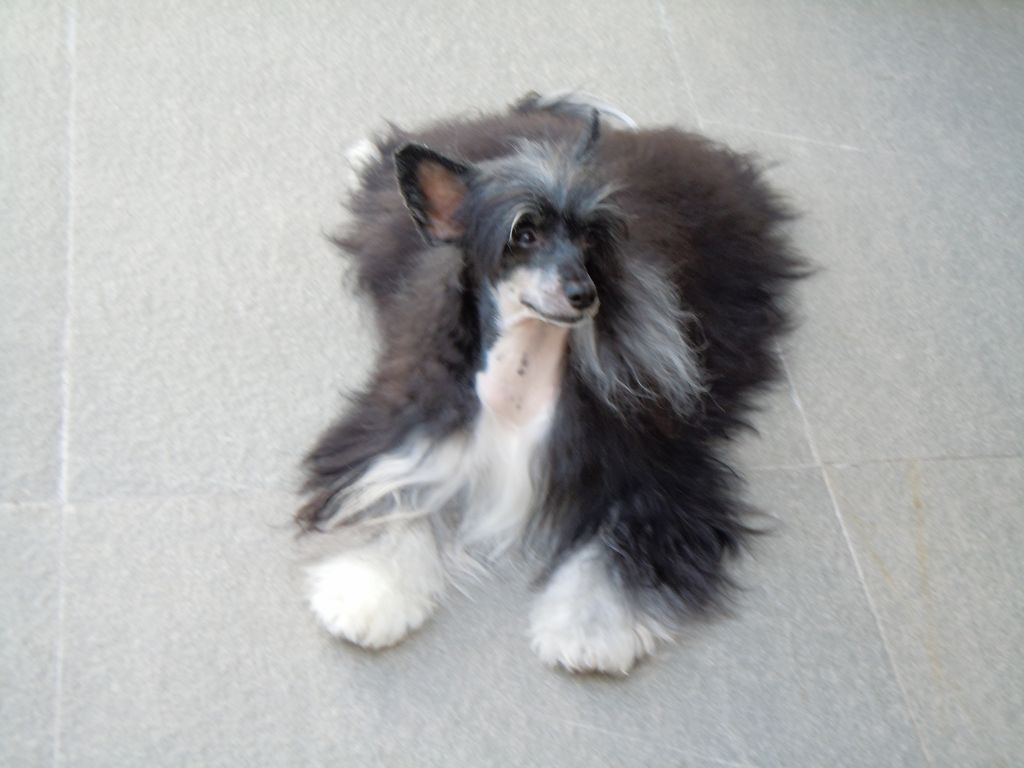 Miss Glow di Tenerezza