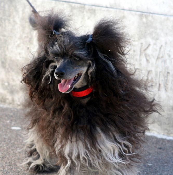 Only The Best My Crown Prince Izor