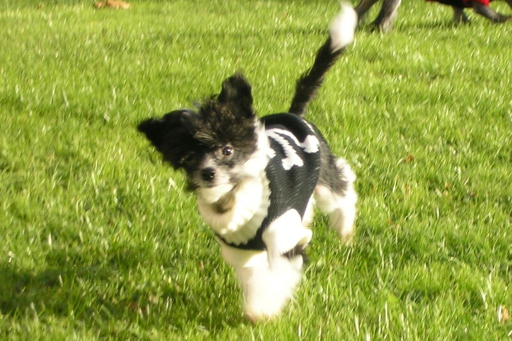 Only The Best My Nice Little Amber