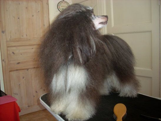 Only The Best My Big Boss Zeke