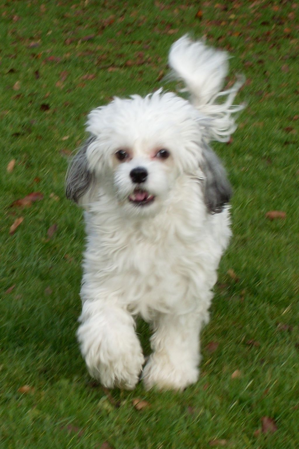 Only The Best My One And Only Atlas