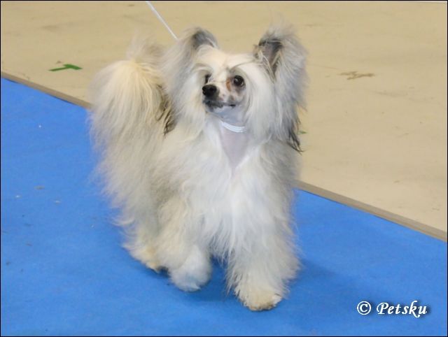 Kuutarhan Myrsky-yö