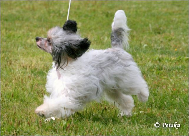 Tapi-Tapi Oraia Aphrodite