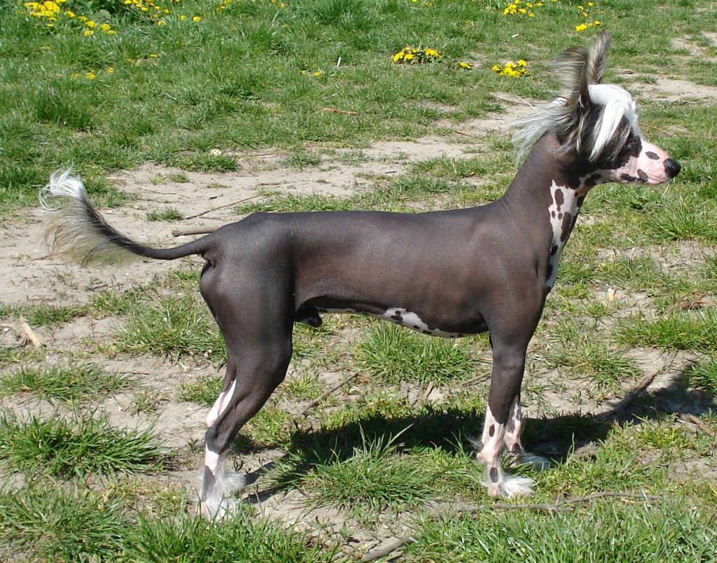 Reject's Four Seasons Autumn