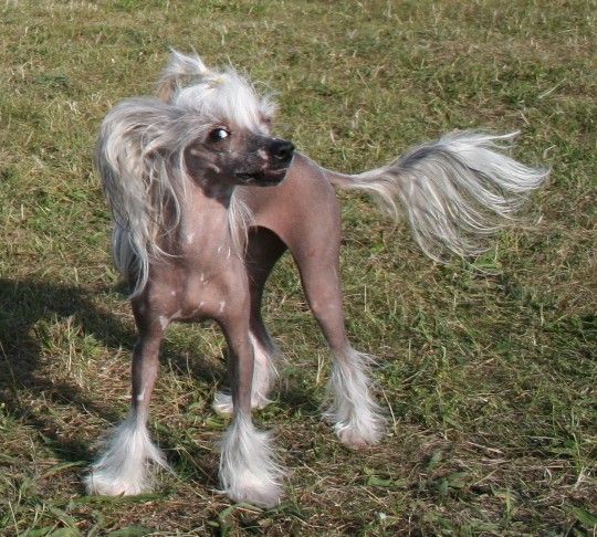 Reject's Four Seasons Summer