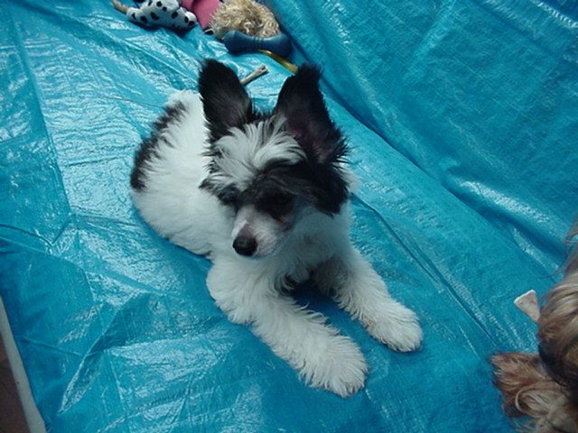 BridgetNAces Prides Boy