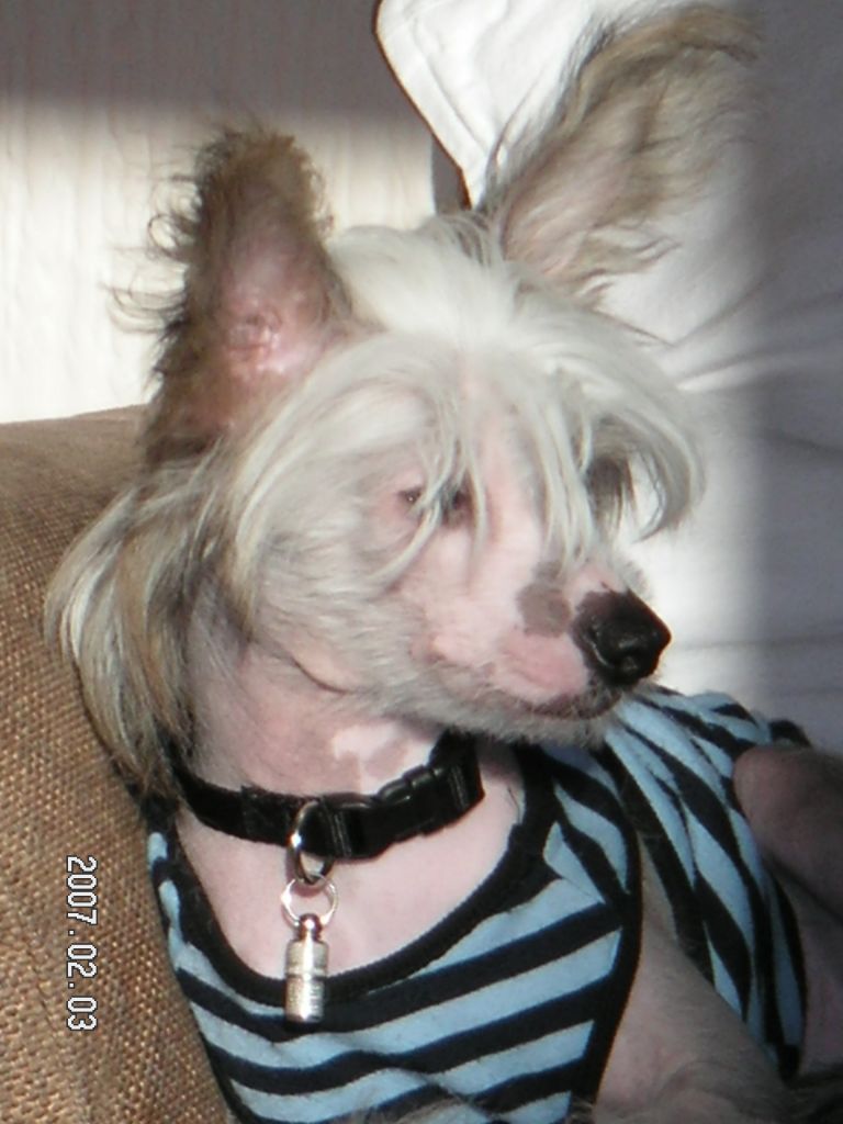 Konishiki Ticket To Ride