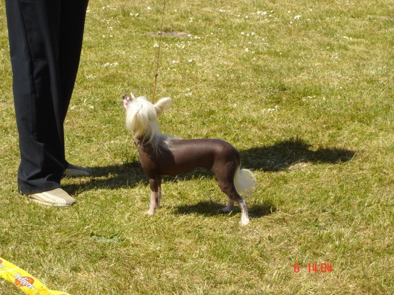 S*meinking's Call Me Destany