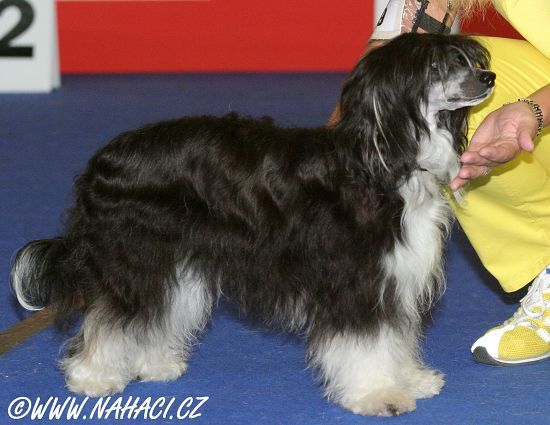 Laureola's Blind Date Lucy