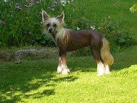 Expression-Rocks And Rolls