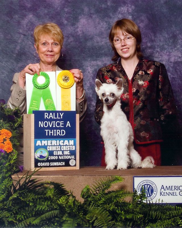 Crestars Sweet Pleazures Pf, Rn, Cgn, Vc