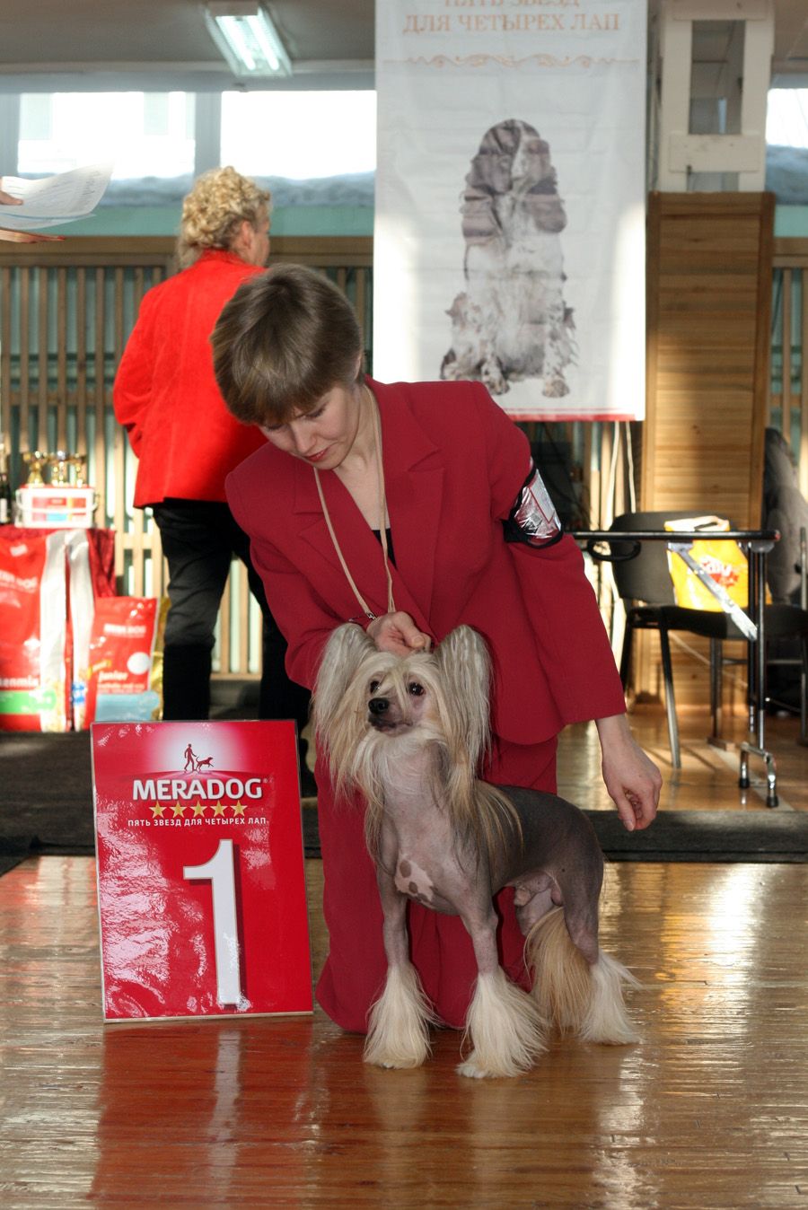 Szelest Next Germanika