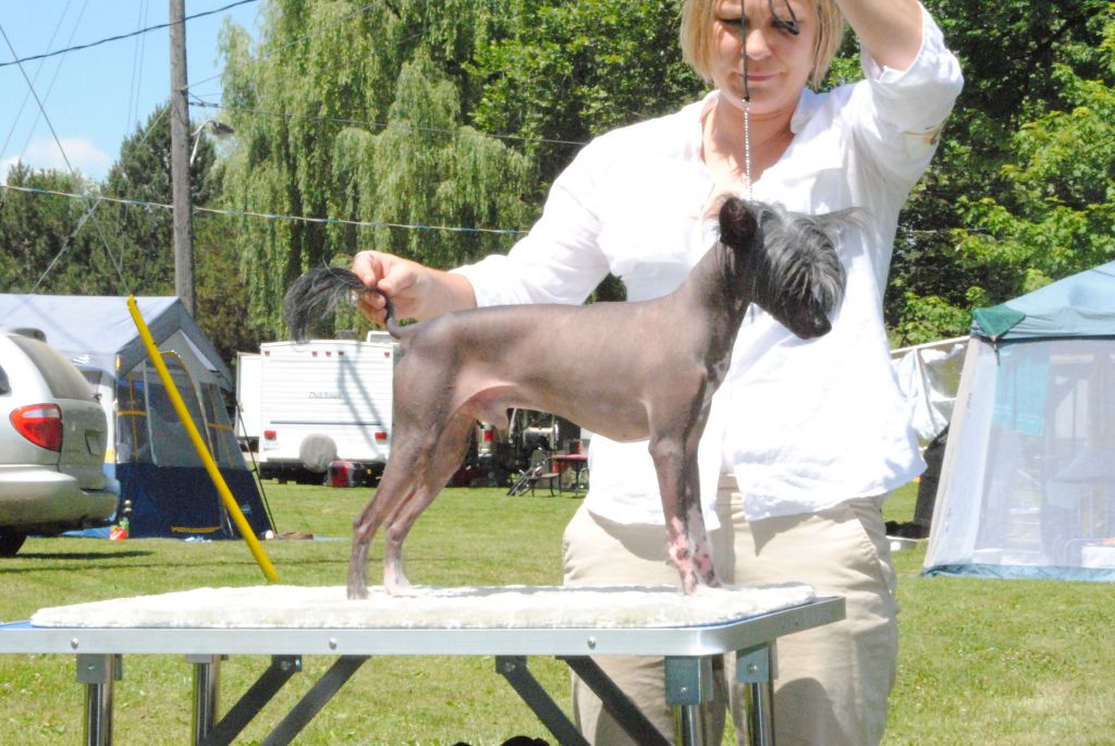 K OS at Fraggle Rock Gardine