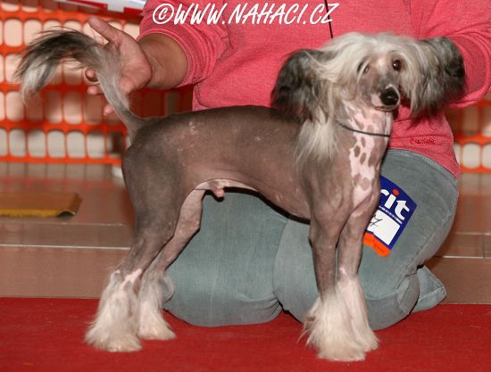 Farawel Certova Stena