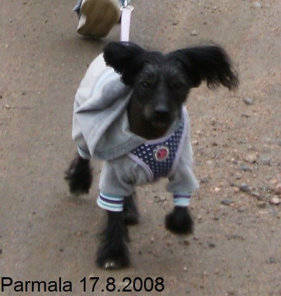 Lady's Trick Ögonblick