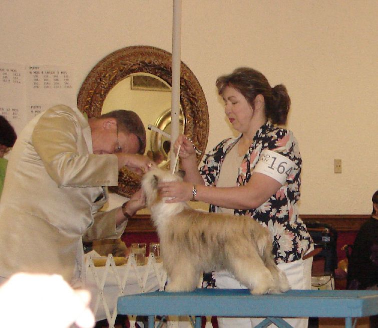 Altair's Bright and Beautiful