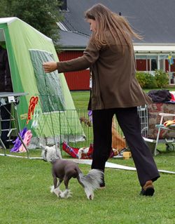 Princess Leia's Good Vibrations