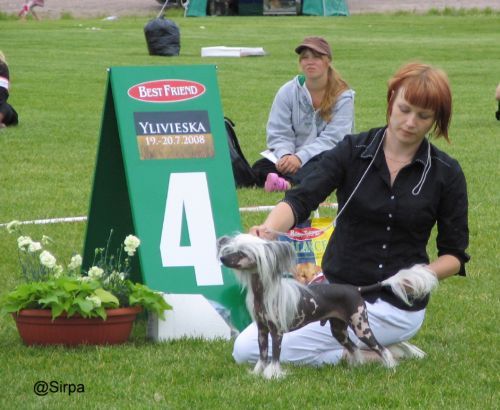 Kiikunkaakun Idols-Ilkka