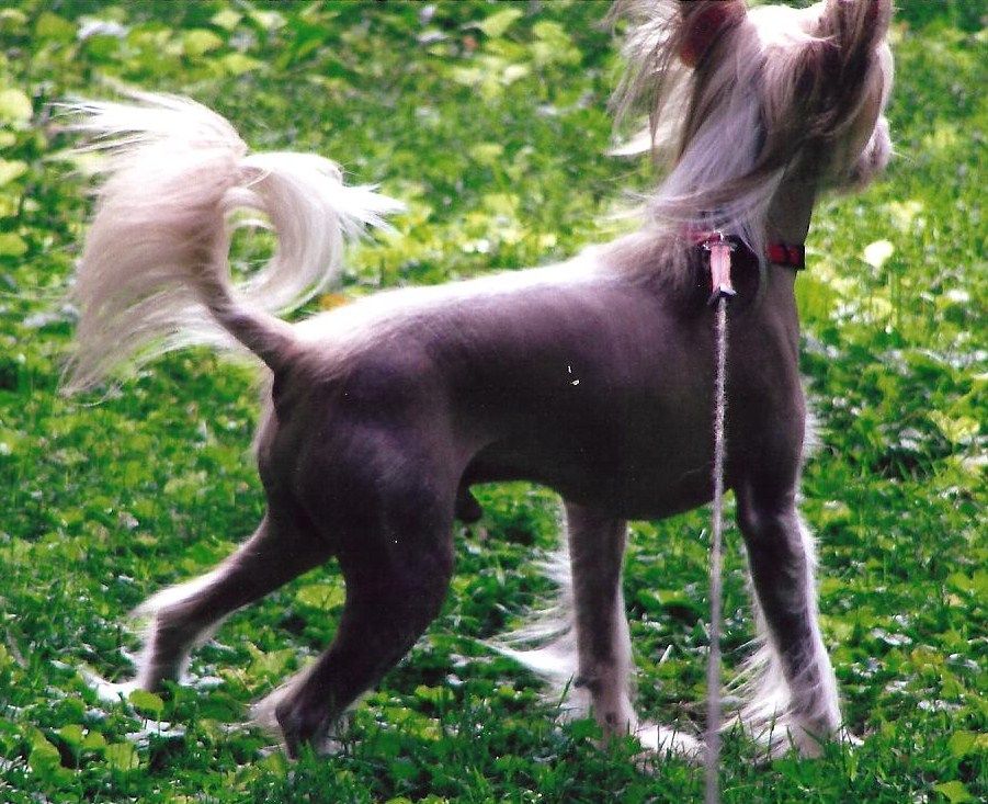 De La Mahafu's Ever In My Heart