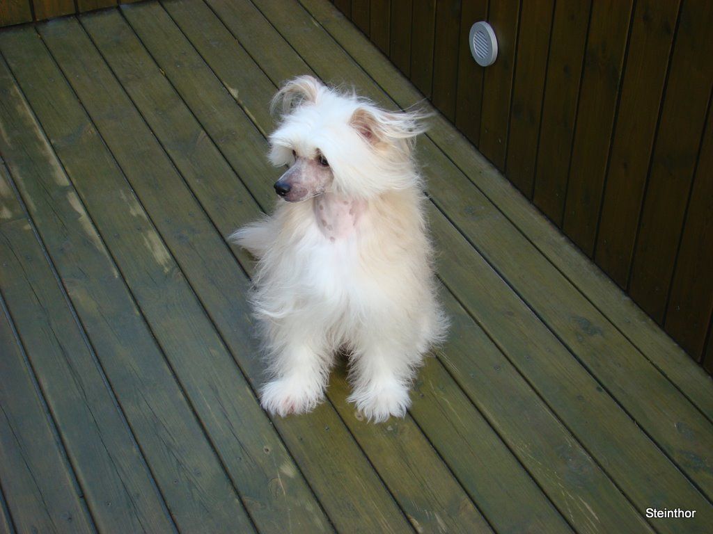 De La Mahafu's Ever So Happy